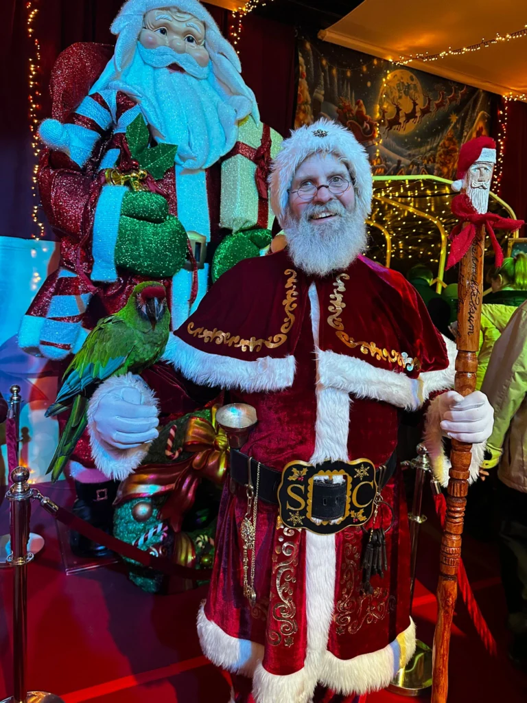 Der Weihnachtsmann im roten Gewand mit einem Papagei vor weihnachtlicher Kulisse